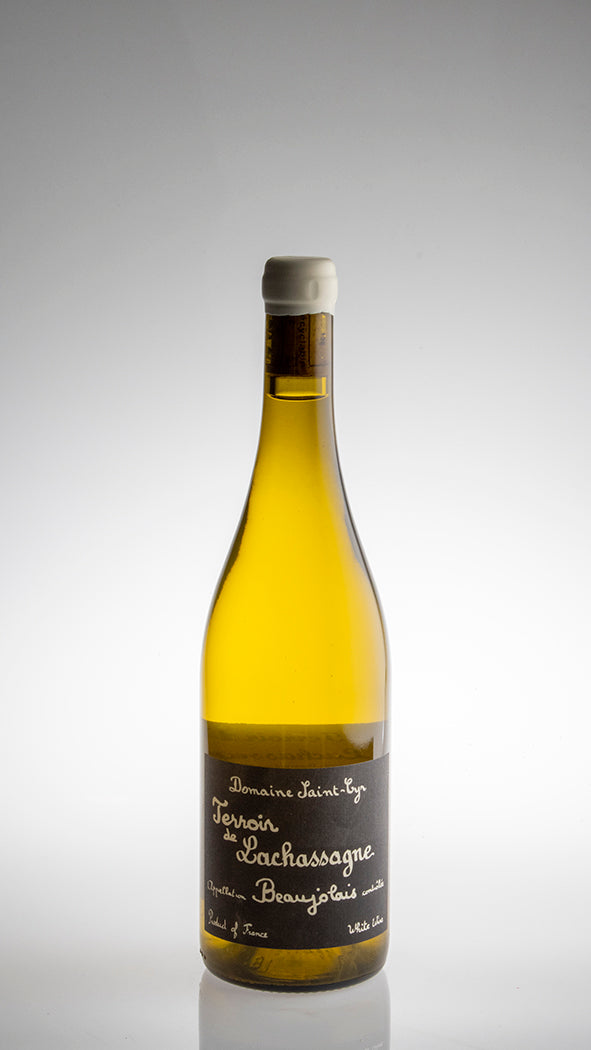 2021, Terroir de Lachassagne