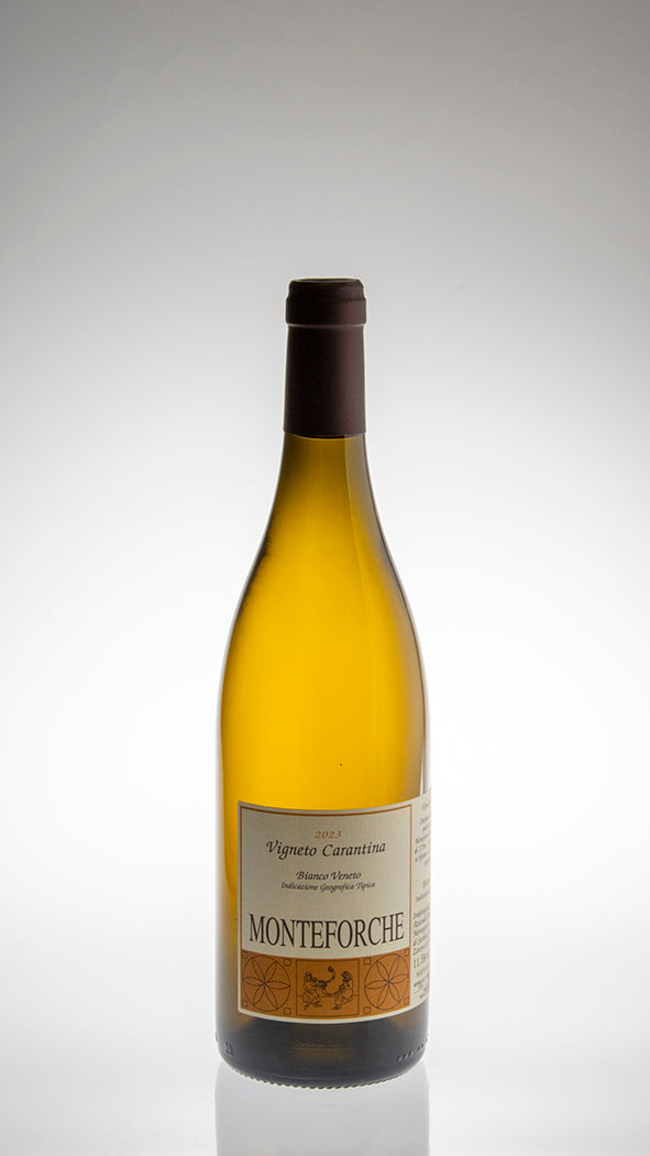 2023, Vigneto Carantina