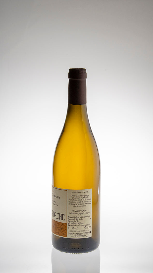 2023, Vigneto Carantina