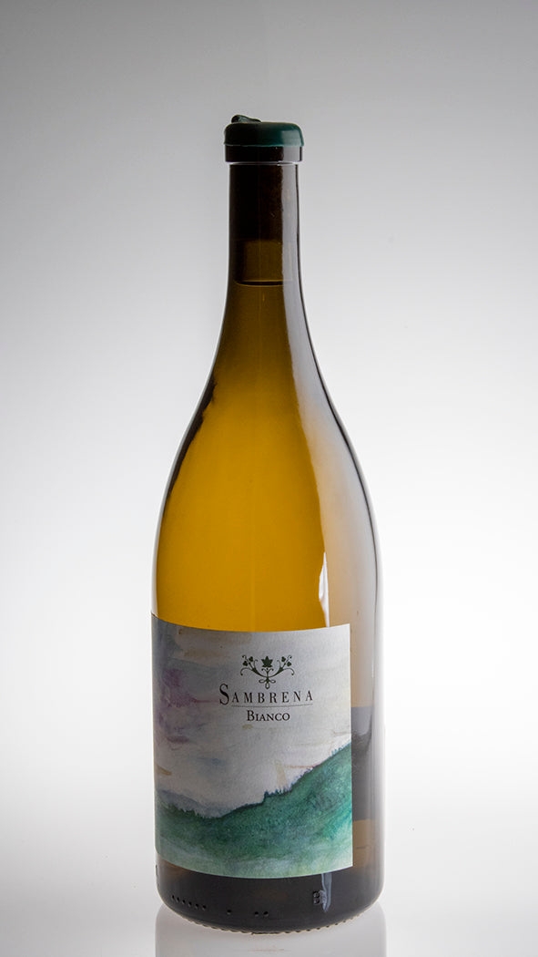 2022, Sambrena Bianco Magnum