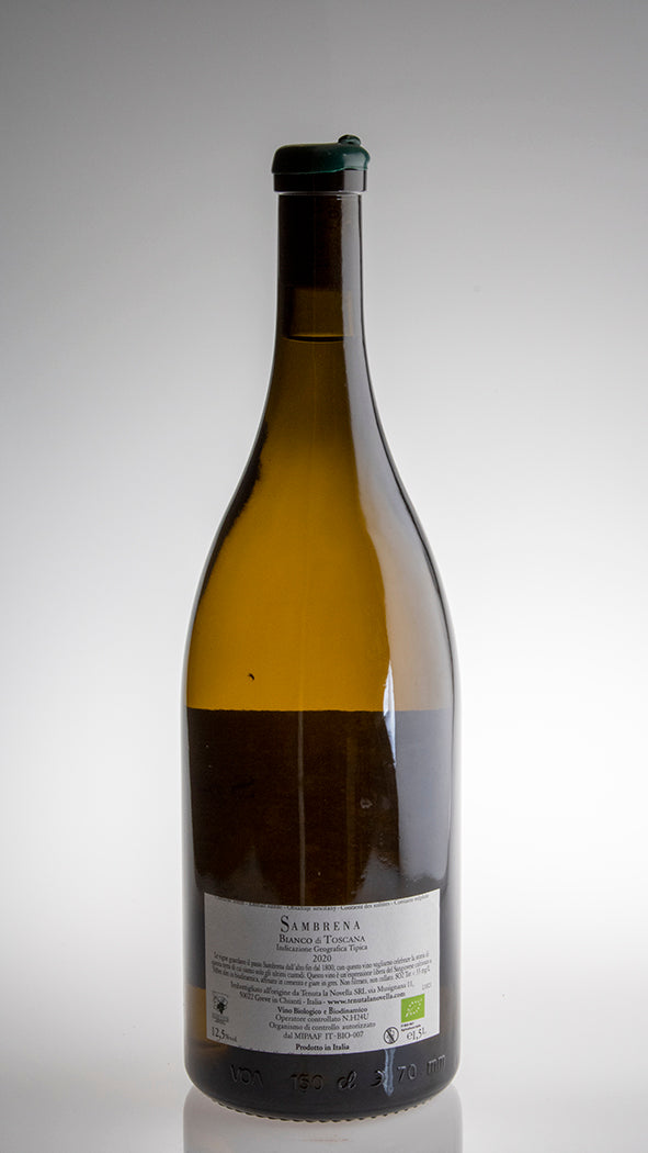 2022, Sambrena Bianco Magnum