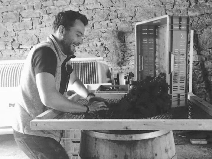 Weingut Greiner