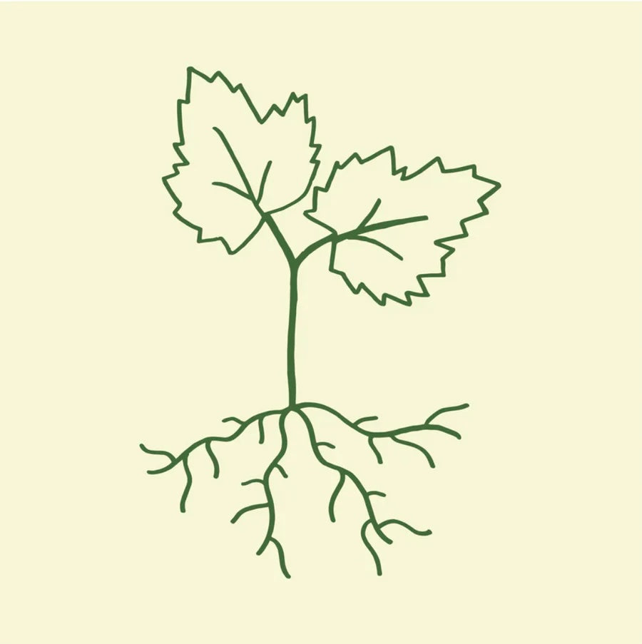 Blaufränkisch