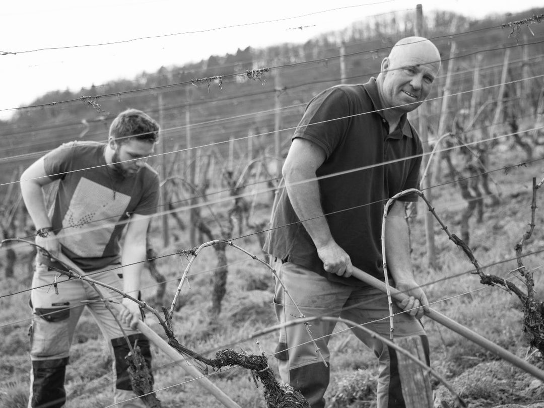 Domaine Kleinknecht