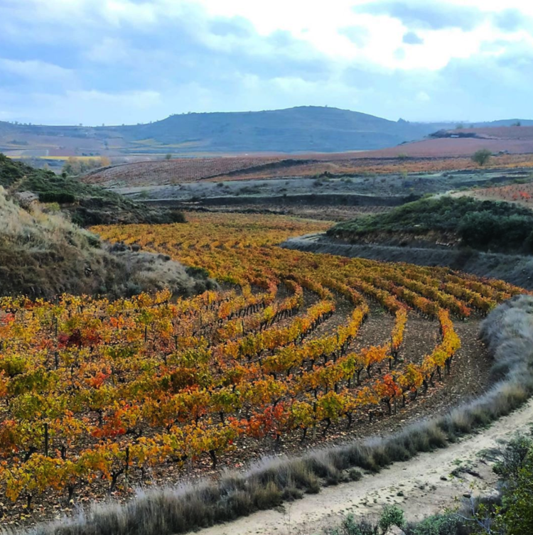 Rioja