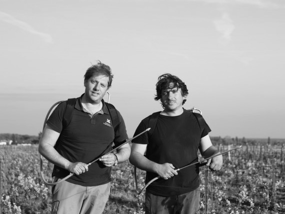 Domaine Camp-Atthalin