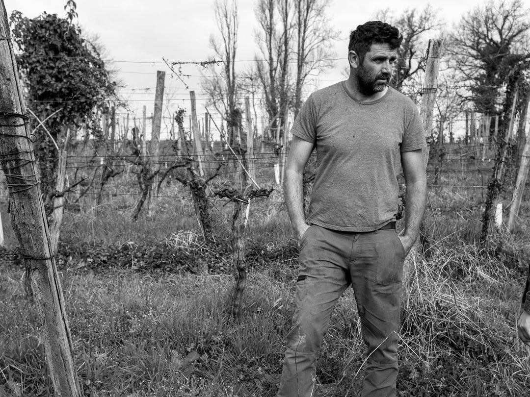 Domaine Lajibe / Manseng et Compagnie