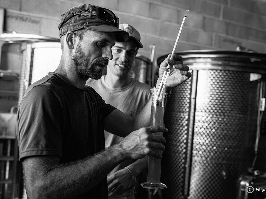 Domaine Ludovic Archer