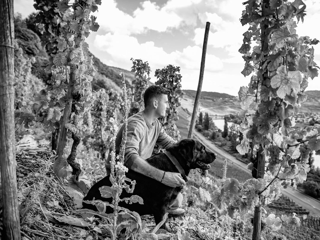 Weingut Carlo Schmitt