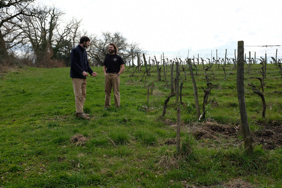 Domaine Jean Dauge