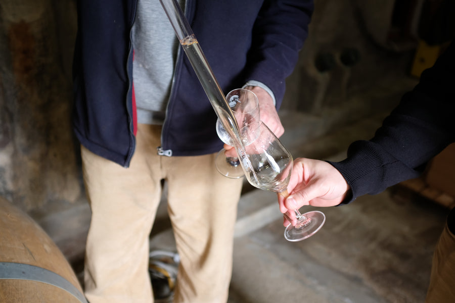 Domaine Jean Dauge