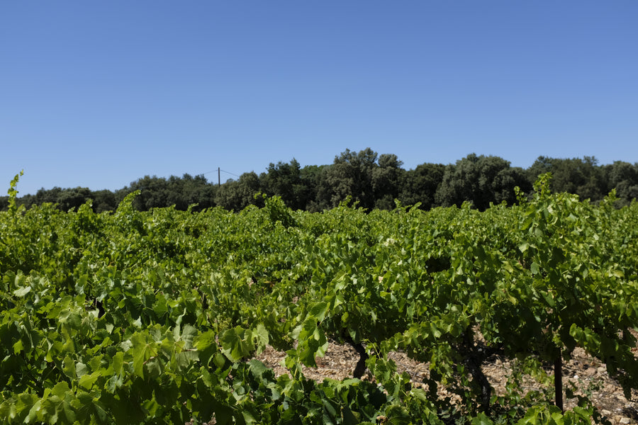 Domaine de la Goguette