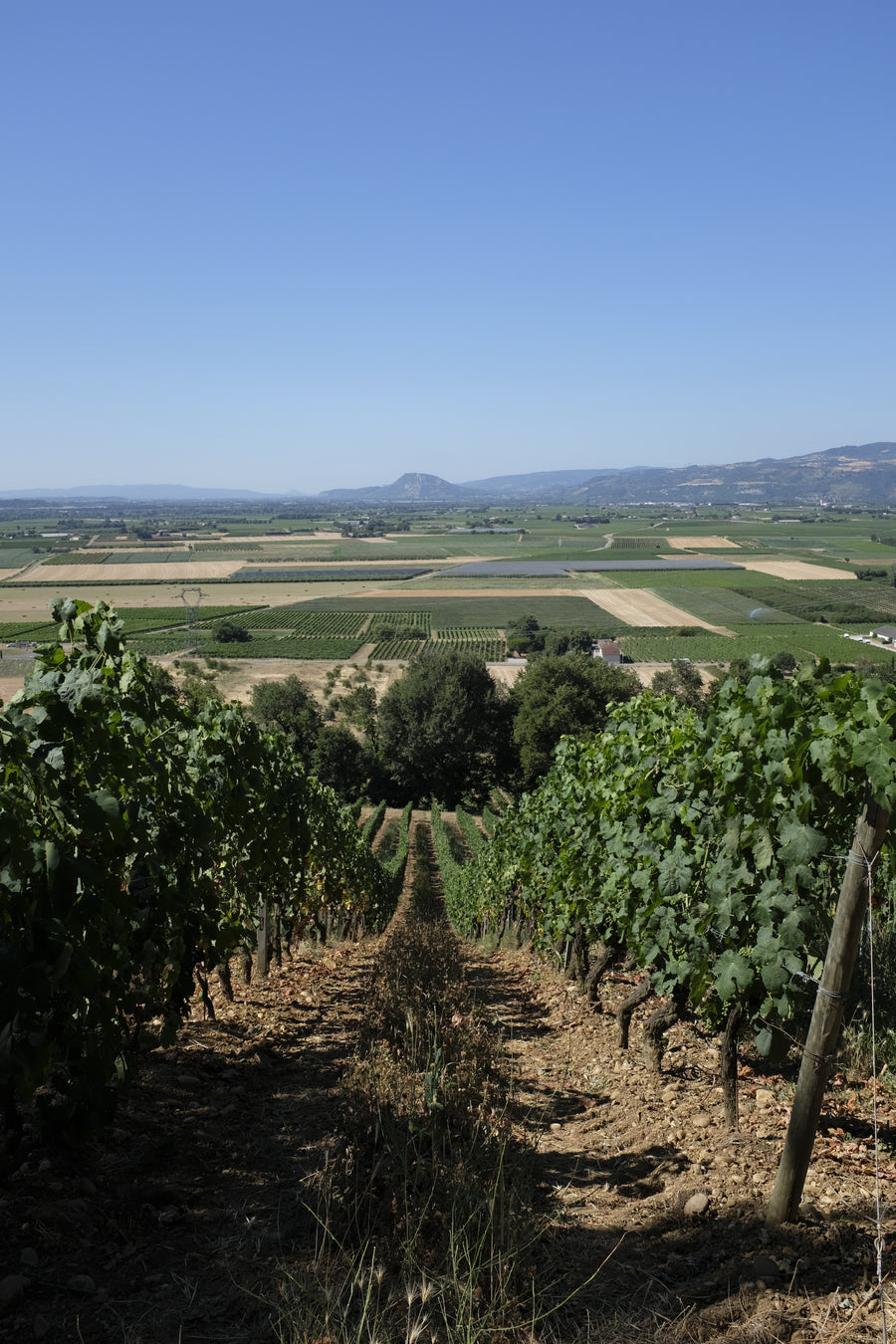 Domaine des Entrefaux