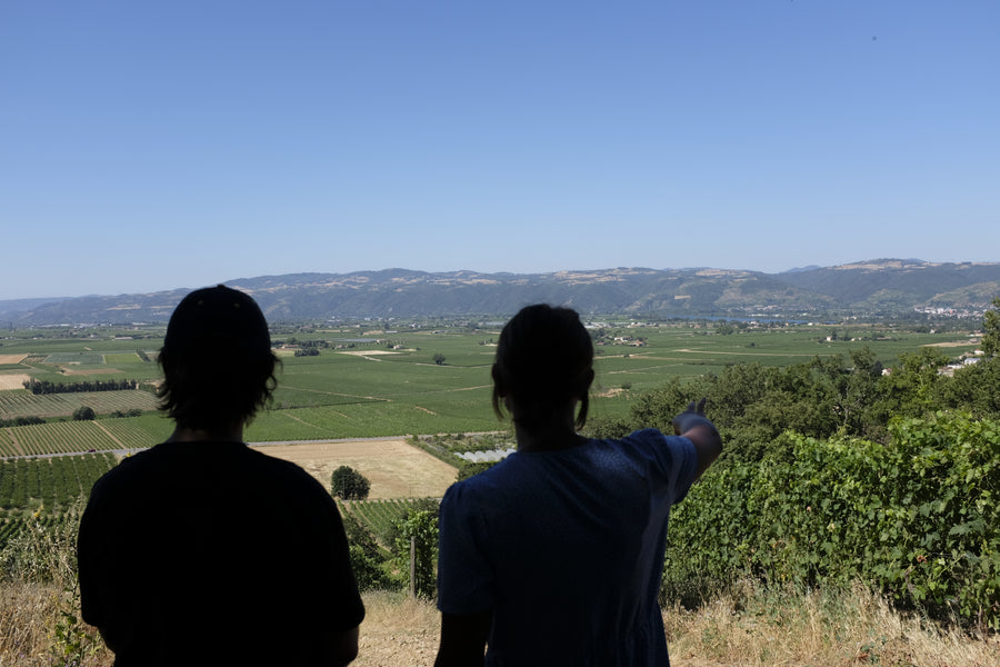 Domaine des Entrefaux