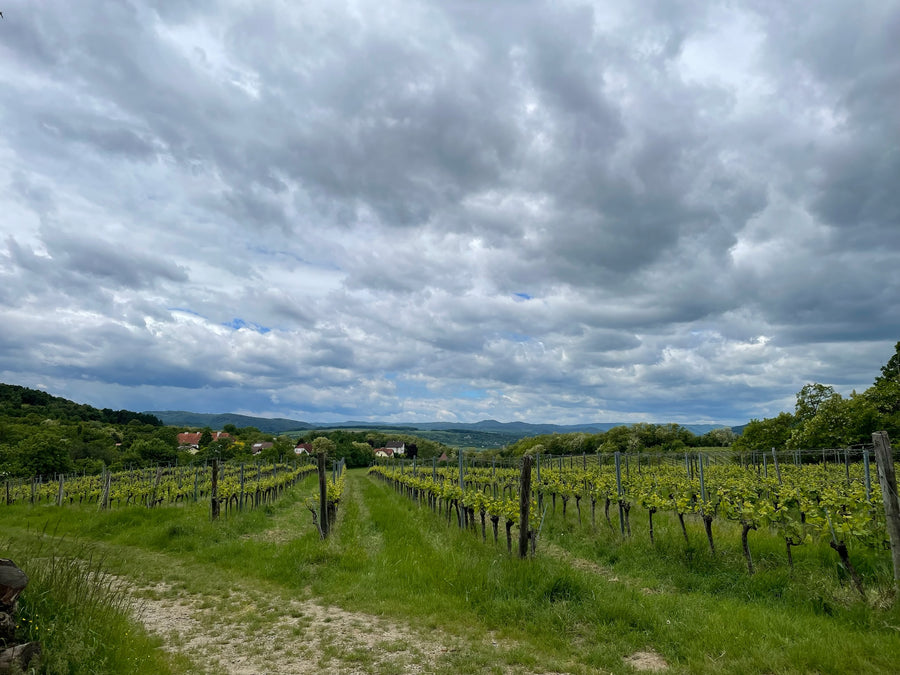 Weingut Geyerhof