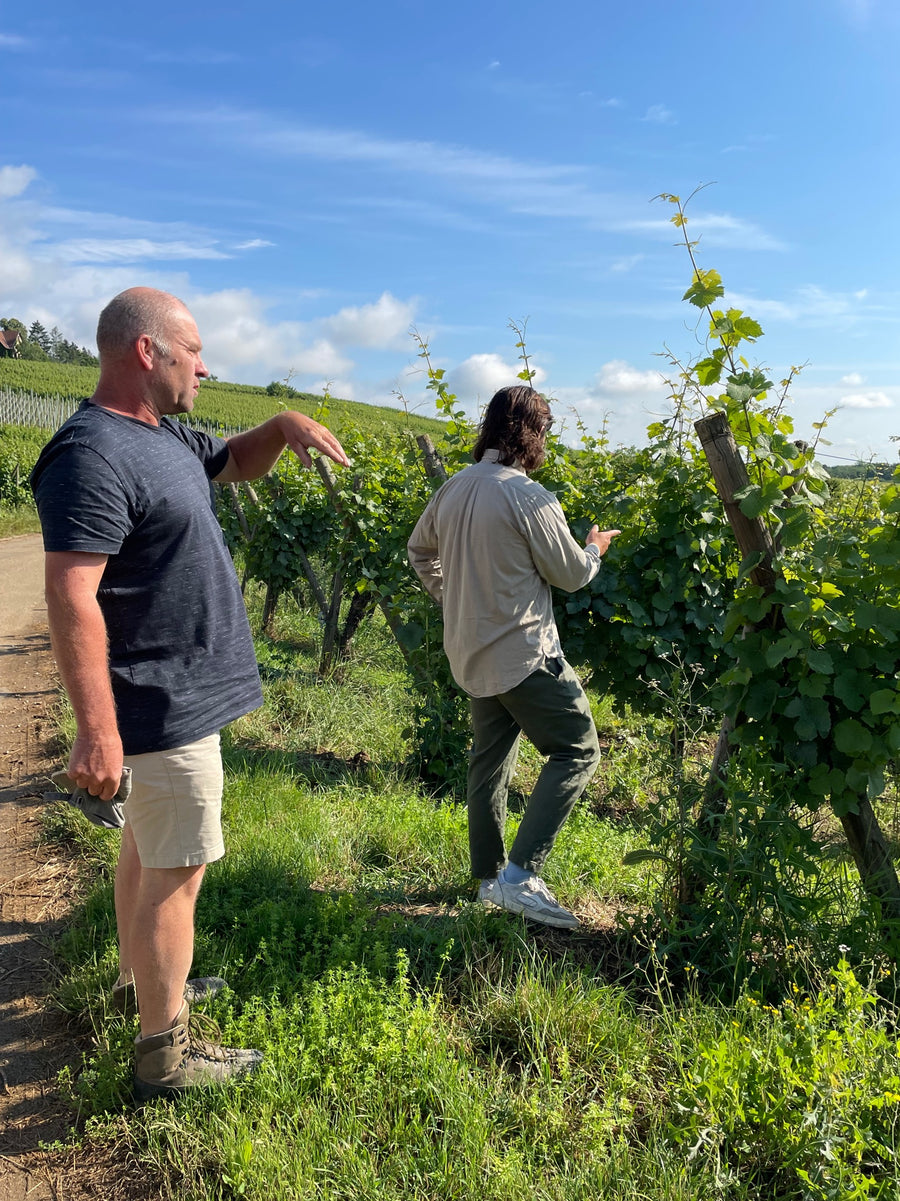 Domaine Kleinknecht