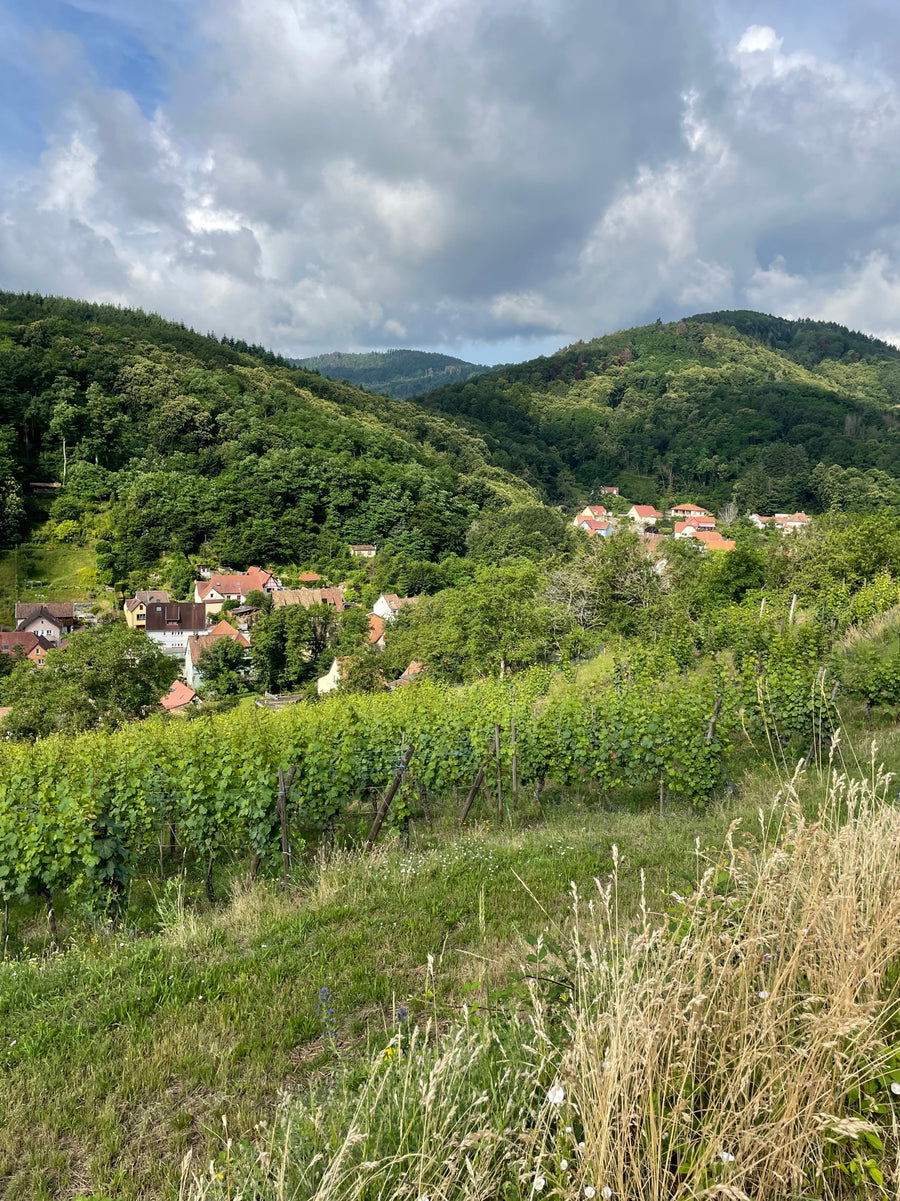 Domaine Kleinknecht