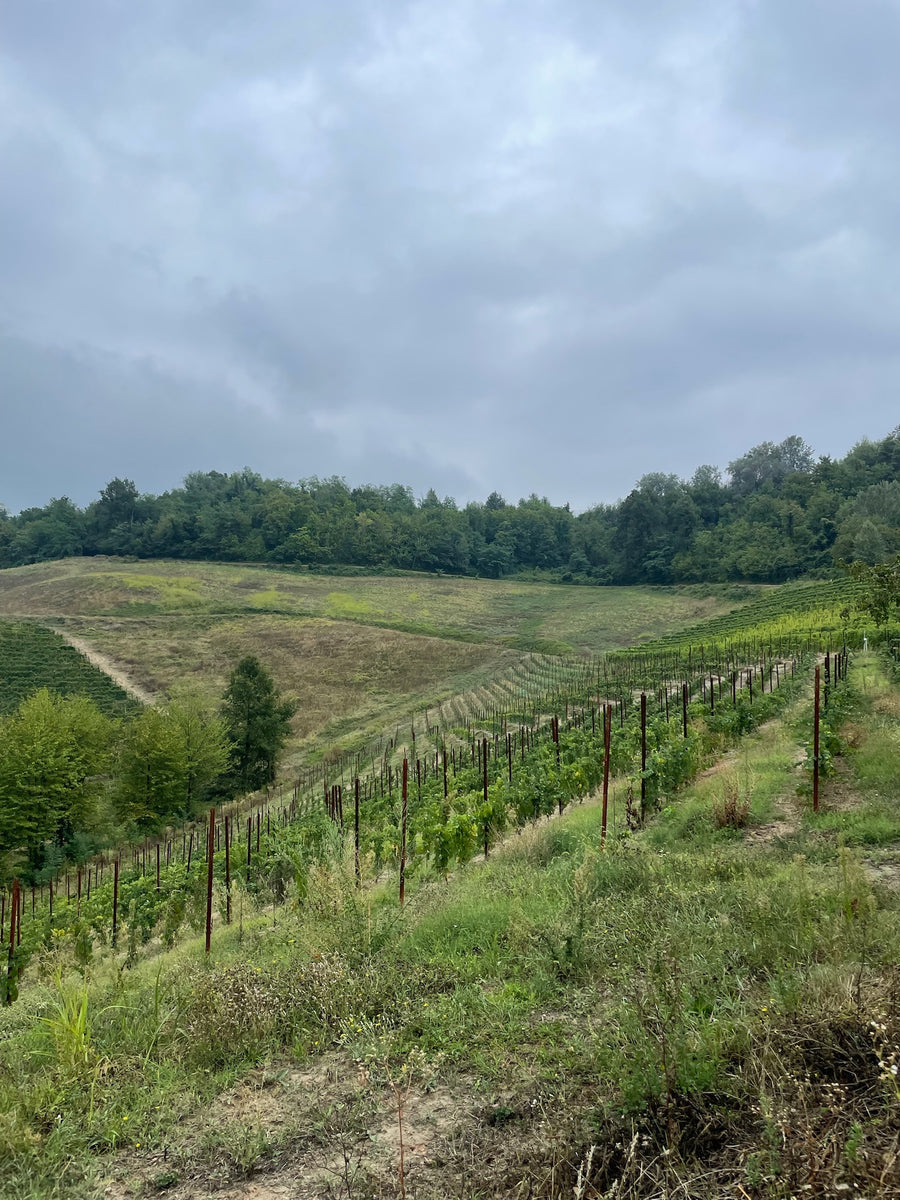 Ribote Farm