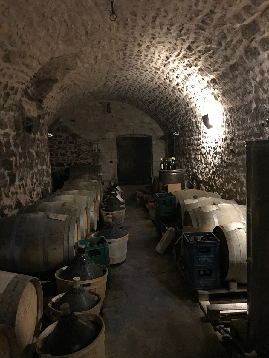 Cantina Filippi