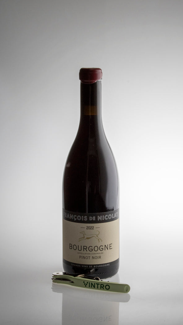 2022 Bourgogne Pinot Noir