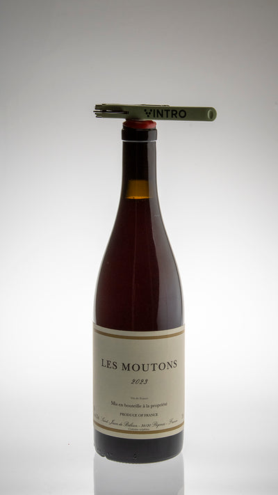 2023, Moutons