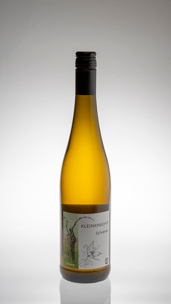 2023, Sylvaner