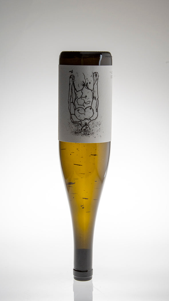 2023, Hofstudien