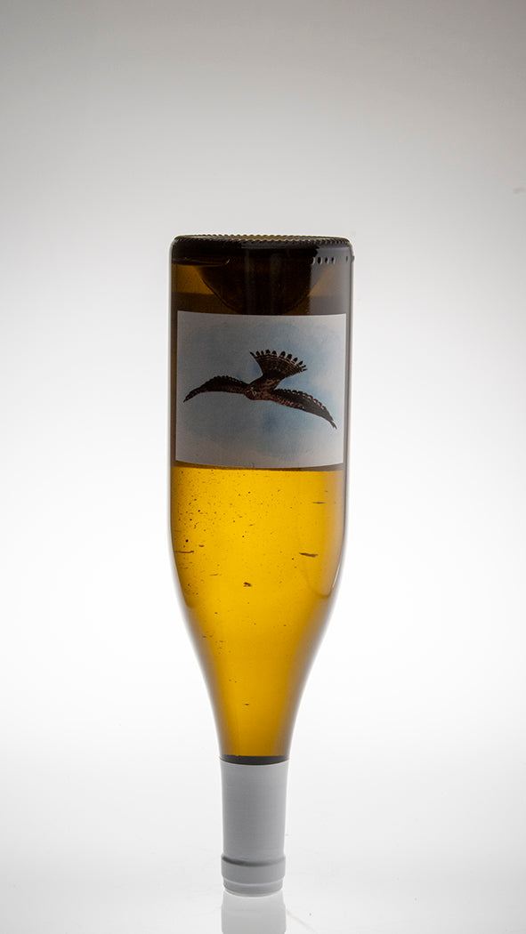 2019, Crécerelle