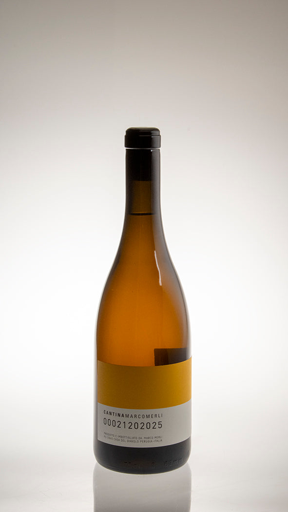 2024, Vino Bianco