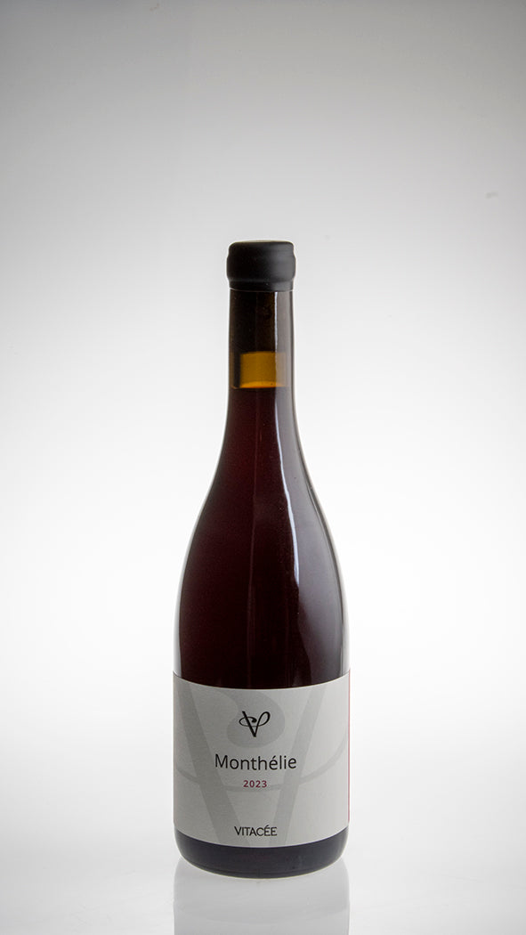 2023, Monthélie Rouge