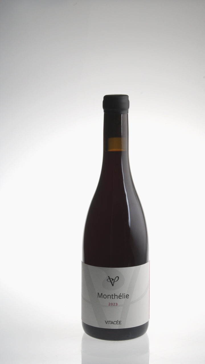 2023, Monthélie Rouge