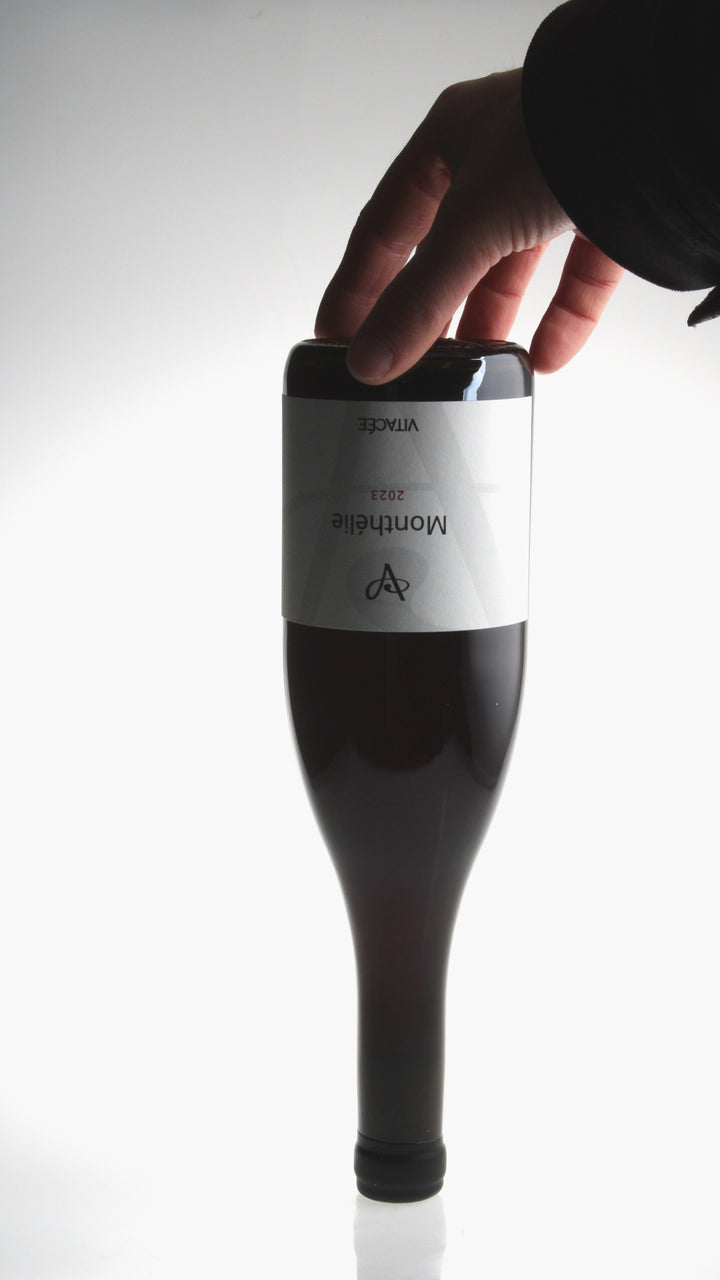 2023, Monthélie Rouge