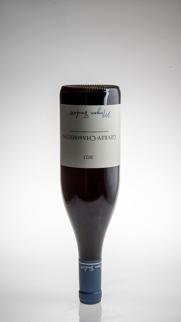 2023, Gevrey Chambertin