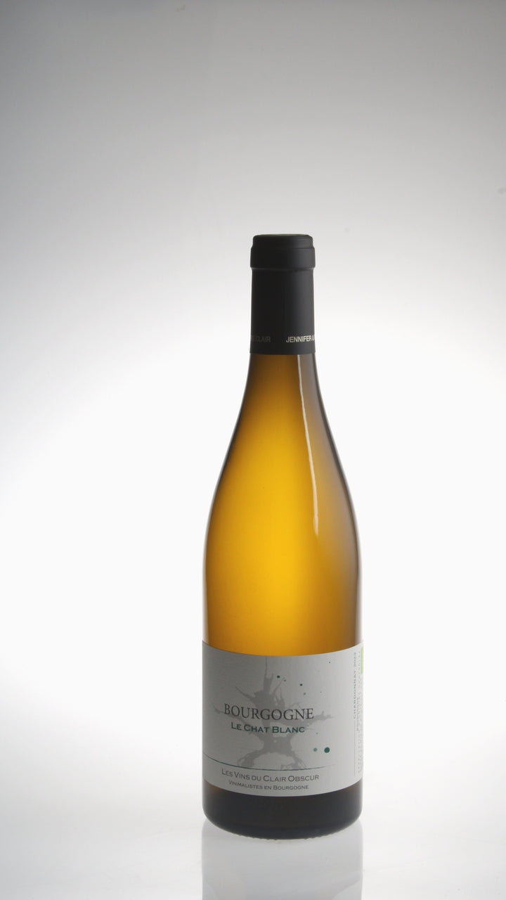 2023, Le Chat Blanc, Bourgogne Blanc