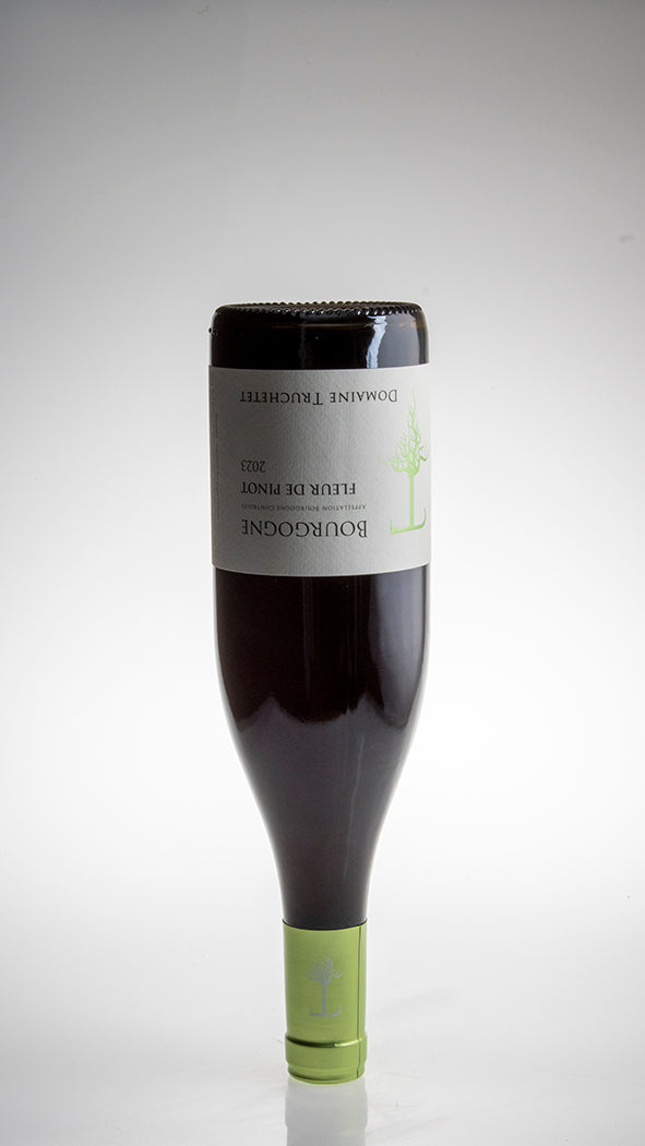 2023, Fleur de Pinot, Bourgogne