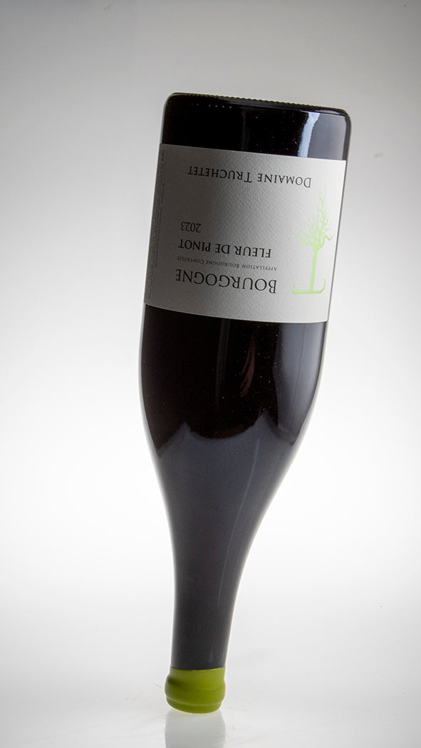 2023, Fleur de Pinot, Bourgogne, Magnum