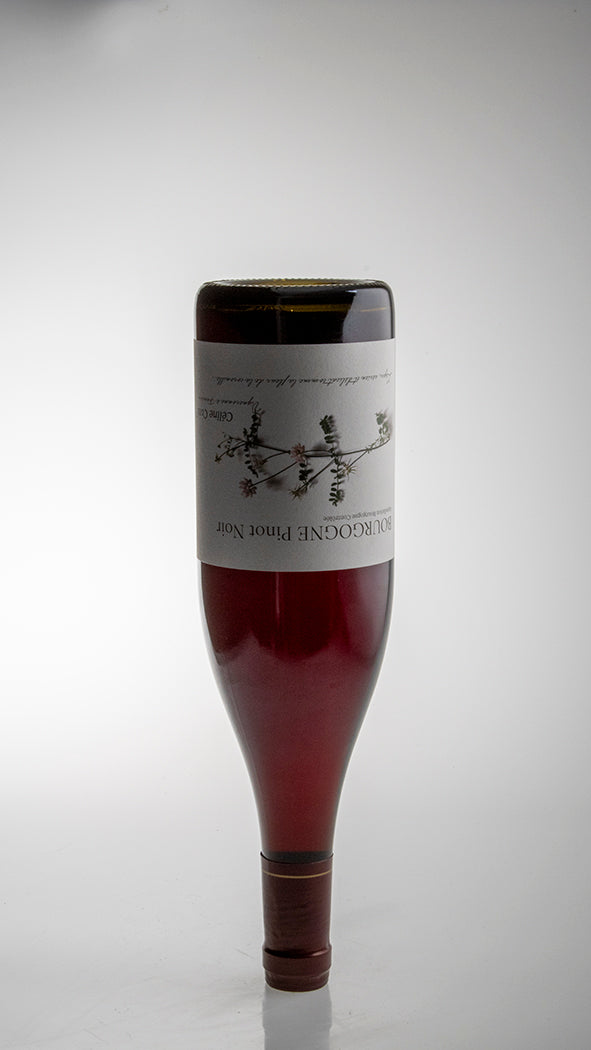 2023, Bourgogne Pinot Noir