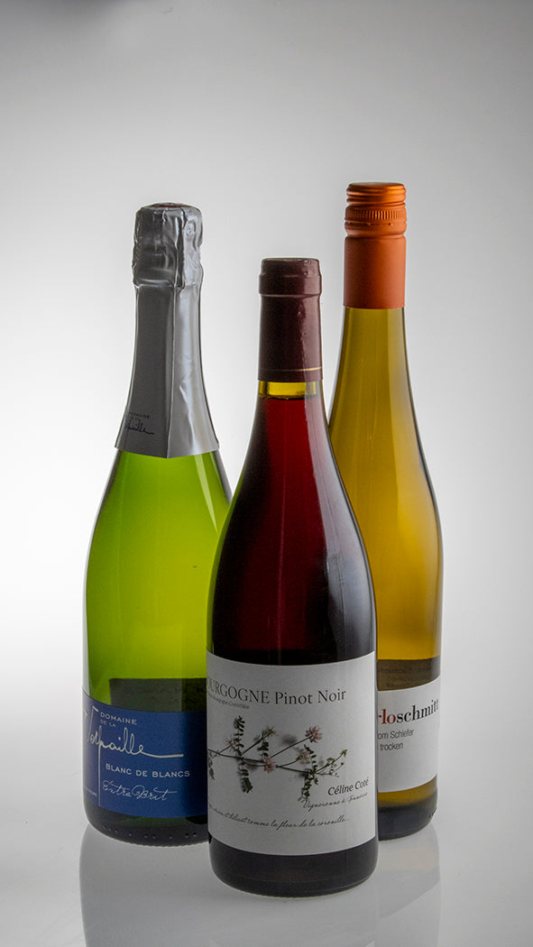 Den Klassiske Vinsmagekasse