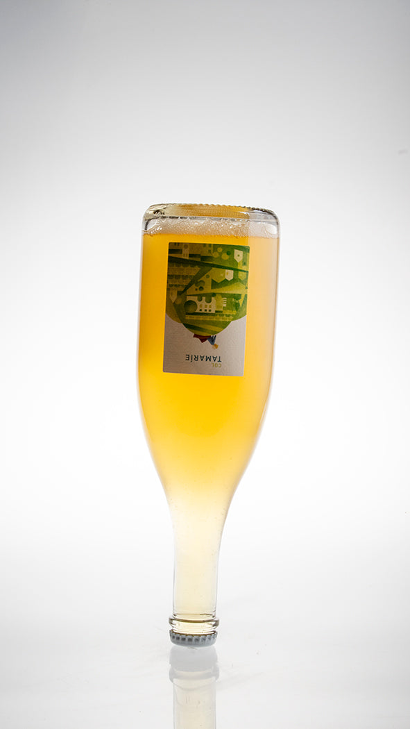 Vino Frizzante