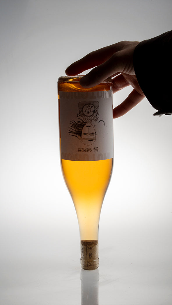 2023, Pinot Griggio macerato