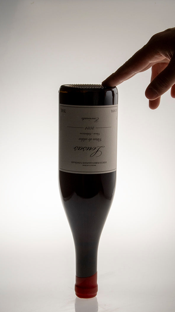 2024, Lousas Viñas de Aldea - Ribeira Sacra