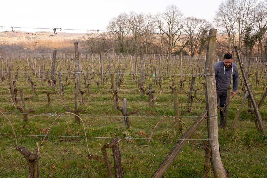 Clos Larrouyat