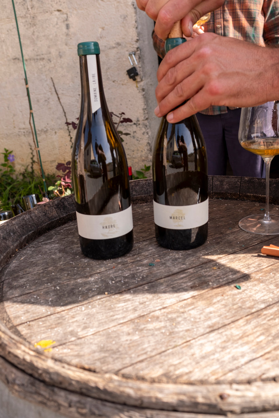 Domaine Lajibe / Manseng et Compagnie