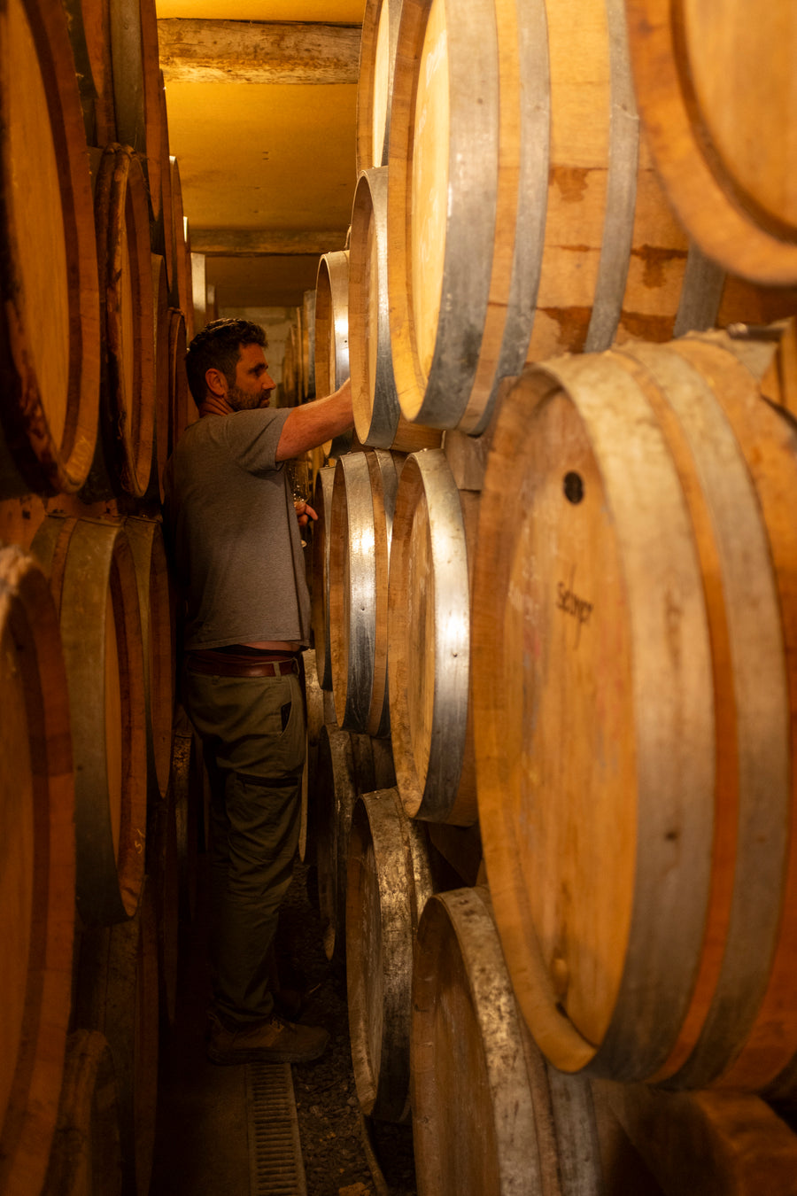 Domaine Lajibe / Manseng et Compagnie