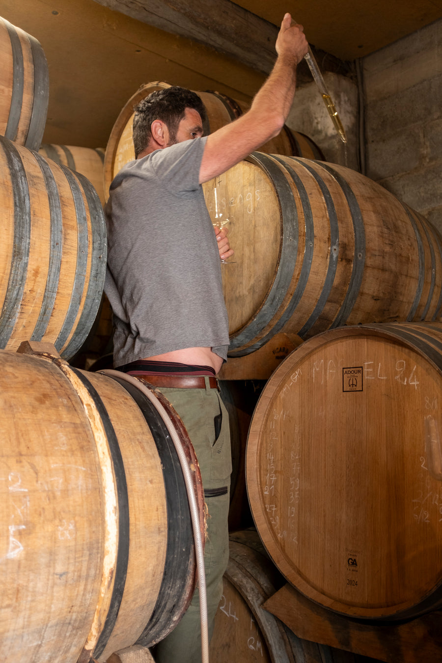 Domaine Lajibe / Manseng et Compagnie