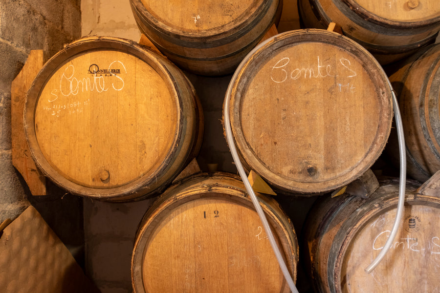 Domaine Lajibe / Manseng et Compagnie