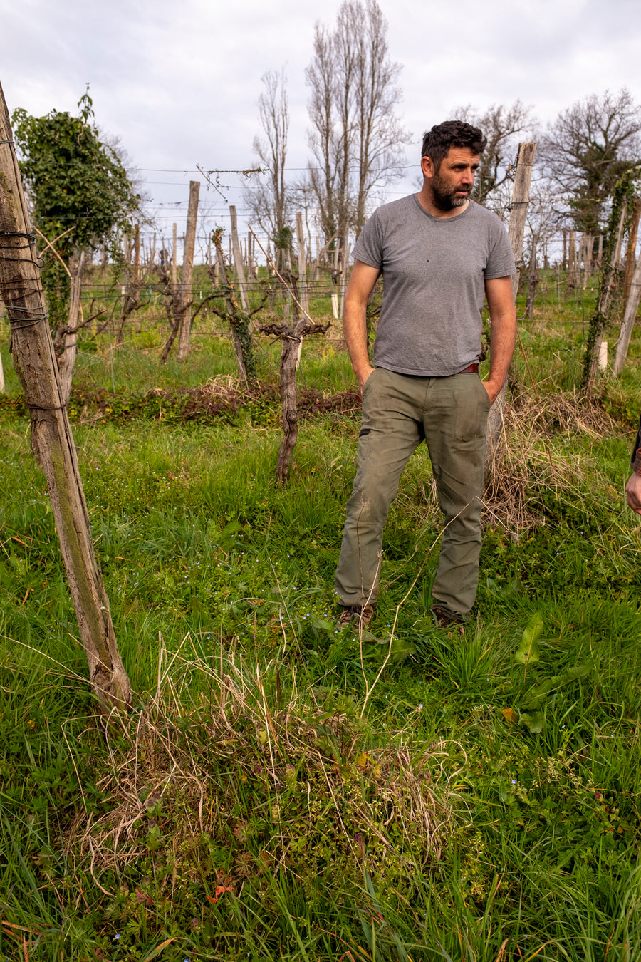 Domaine Lajibe / Manseng et Compagnie