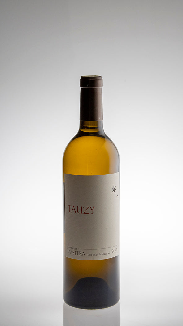 2022, Tauzy